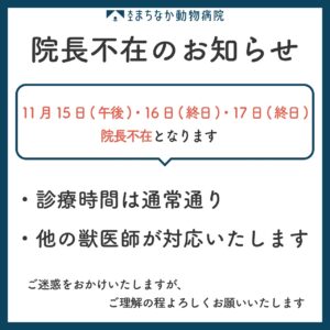 11/15(午後)・16(終日)・17(終日)院長不在のお知らせ