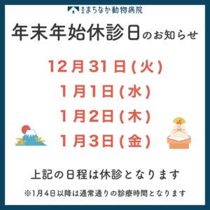 年末年始休診日のお知らせ