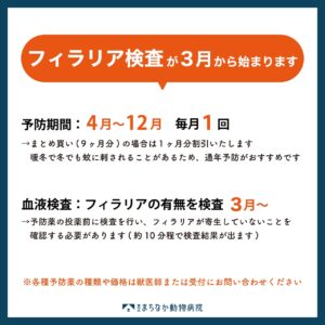 3月からフィラリア検査がはじまります