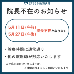 5月11日(日)院長不在のお知らせ