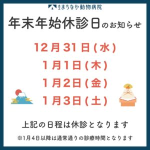 年末年始休診日のお知らせ