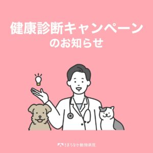 春の健康診断キャンペーンのお知らせ